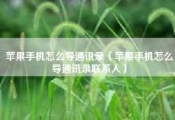 苹果手机怎么导通讯录（苹果手机怎么导通讯录联系人）