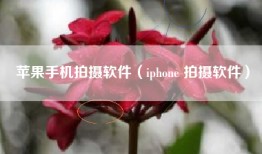 苹果手机拍摄软件（iphone 拍摄软件）