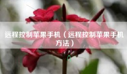 远程控制苹果手机（远程控制苹果手机方法）