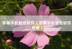 苹果手机壁纸软件（苹果手机壁纸软件免费）