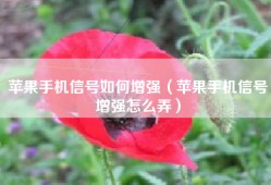 苹果手机信号如何增强（苹果手机信号增强怎么弄）