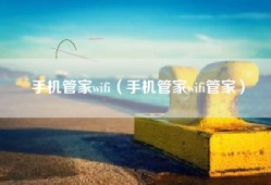 手机管家wifi（手机管家wifi管家）