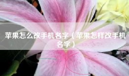 苹果怎么改手机名字（苹果怎样改手机名字）