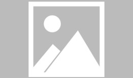尽管有看涨消息，XRP 价格仍出现逆转