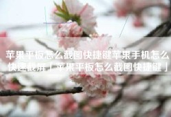 苹果平板怎么截图快捷键苹果手机怎么快速截屏「苹果平板怎么截图快捷键」