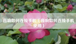 音响如何连接手机（音响如何连接手机使用）