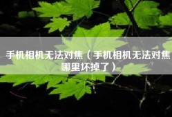 手机相机无法对焦（手机相机无法对焦哪里坏掉了）