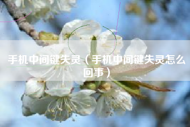 手机中间键失灵（手机中间键失灵怎么回事）