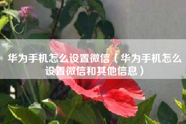 华为手机怎么设置微信（华为手机怎么设置微信和其他信息）