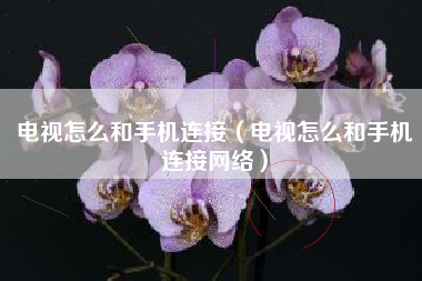 电视怎么和手机连接（电视怎么和手机连接网络）