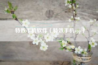 特效手机软件（特效手机app）