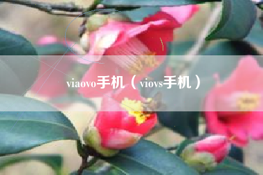 viaovo手机（viovs手机）