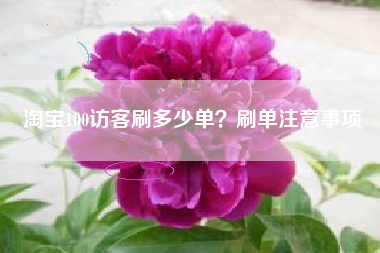 淘宝100访客刷多少单？刷单注意事项